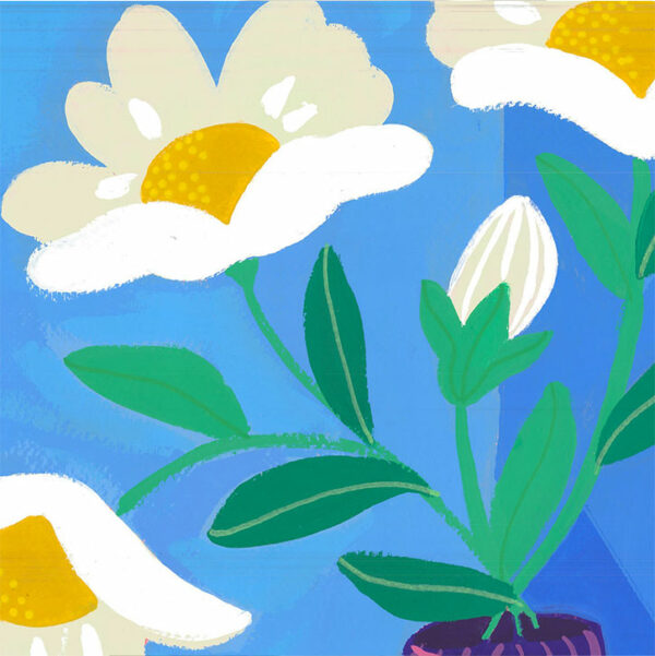 Noémie's citrus - Image 3