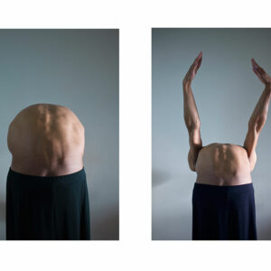 Abstractions of Anatomy