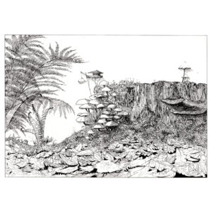 Effigium, l'ancien chêne