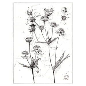 Effigium sur les grandes astrances